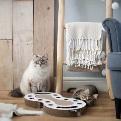 District 70 SNAKE White -Dierenwinkel Snake wit 2