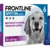 Frontline Spot On L 6 Pipetten 2 Frontline Spot On L 6 Pipetten -Dierenwinkel SpotOnL6Pipet
