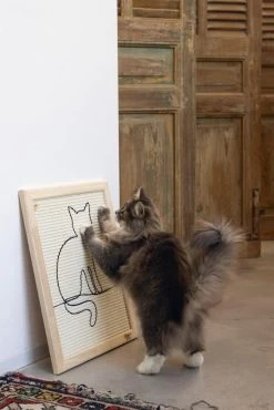 Designed By Lotte Hout Krabplank Sammy -Dierenwinkel Web 0409140 sfeer1