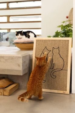 Designed By Lotte Hout Krabplank Poezels -Dierenwinkel Web 0409142 sfeer1