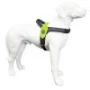 Tre Ponti Hondentuig Primo Fluoro Reflective Geel -Dierenwinkel fluoro green reflectivekopie