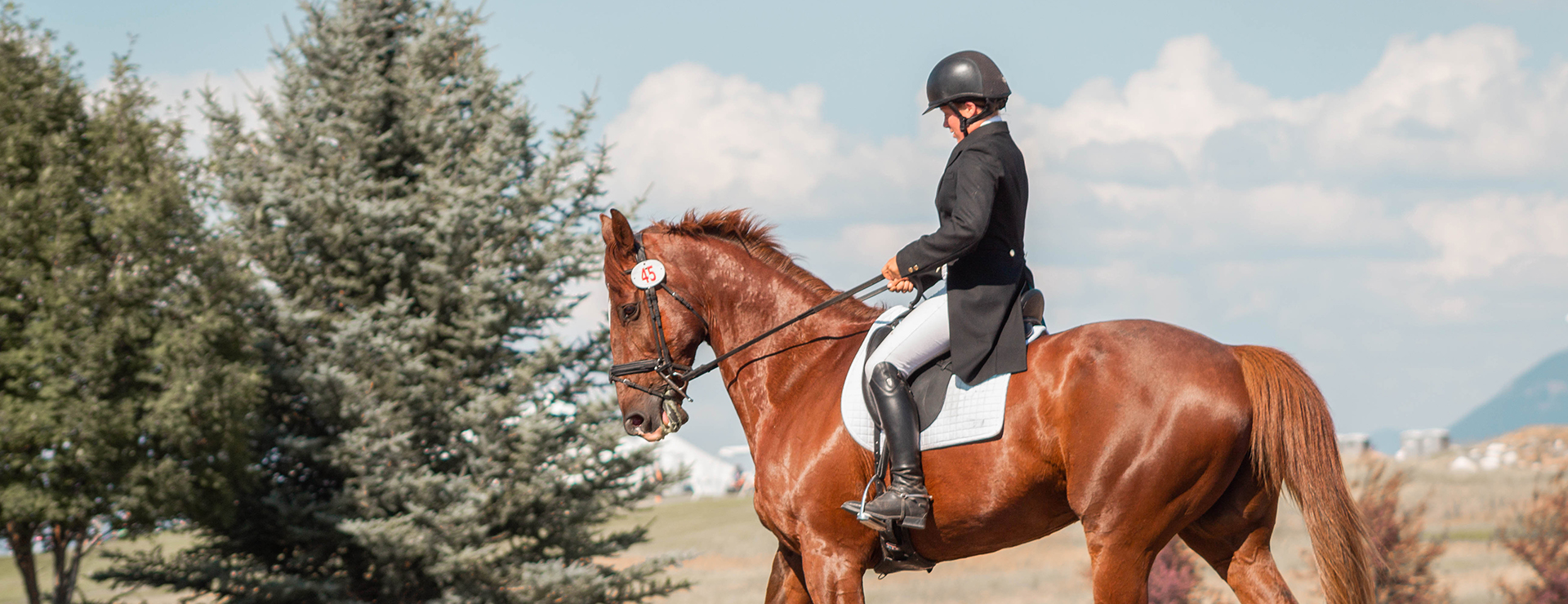 Dierenwinkel -Dierenwinkel photo 1594768816441 1dd241ffaa67