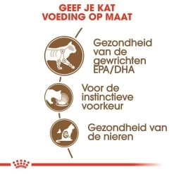 Royal Canin Kattenvoer Ageing 12+ In Jelly 12 X 85 Gr -Dierenwinkel royal canin ageing 12plus in jelly senior kat oudere kat vanaf 12 jaar hero usp