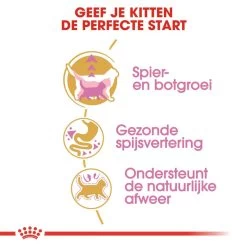 Royal Canin Kattenvoer British Shorthair Kitten 10 Kg -Dierenwinkel royal canin british shorthair kitten kitten kat brits korthaar hero usp 1