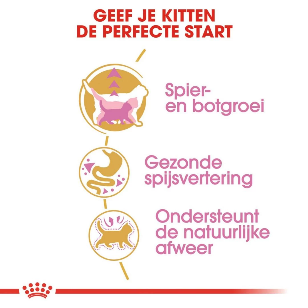 Royal Canin Kattenvoer British Shorthair Kitten 2 Kg 5 Royal Canin Kattenvoer British Shorthair Kitten 2 Kg - Afbeelding 3