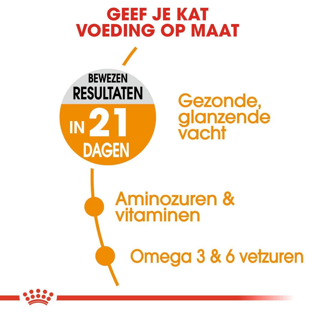 Royal Canin Kattenvoer Hair & Skin Care 2 Kg 6 Royal Canin Kattenvoer Hair & Skin Care 2 Kg - Afbeelding 4