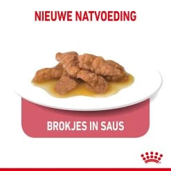 Royal Canin Kattenvoer Indoor 7+ In Gravy 12 X 85 Gr -Dierenwinkel royal canin indoor sterilised 7plus gravy volwassen kat binnenkatten hero kibble