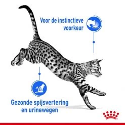 Royal Canin Kattenvoer Indoor In Gravy 12 X 85 Gr -Dierenwinkel royal canin indoor sterilised gravy volwassen kat binnenkatten hero usp 1