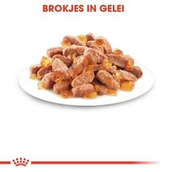 Royal Canin Kattenvoer Kitten In Jelly 12 X 85 Gr 8 Royal Canin Kattenvoer Kitten In Jelly 12 X 85 Gr -Dierenwinkel royal canin kitten in jelly kitten kat groeifase hero kibble