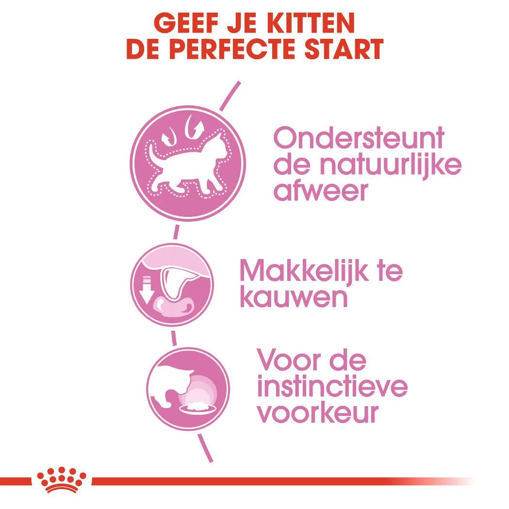 Royal Canin Kattenvoer Kitten In Jelly 12 X 85 Gr 6 Royal Canin Kattenvoer Kitten In Jelly 12 X 85 Gr - Afbeelding 4