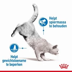 Royal Canin Kattenvoer Light Weight Care 1,5 Kg -Dierenwinkel royal canin light weight care volwassen kat preventie overgewicht hero image 8 1