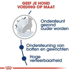 Royal Canin Hondenvoer Maxi Ageing 8+ 15 Kg -Dierenwinkel royal canin maxi ageing 8plus senior hond oudere hond vanaf 8 jaar hero usp