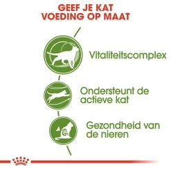 Royal Canin Kattenvoer Outdoor 7+ 4 Kg 8 Royal Canin Kattenvoer Outdoor 7+ 4 Kg -Dierenwinkel royal canin outdoor 7plus volwassen kat buitenkatten vanaf 7 jaar hero usp