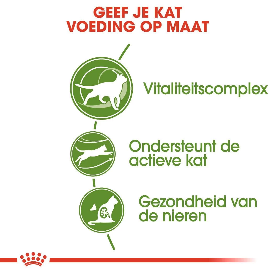 Royal Canin Kattenvoer Outdoor 7+ 4 Kg 5 Royal Canin Kattenvoer Outdoor 7+ 4 Kg - Afbeelding 3