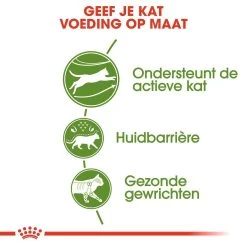 Royal Canin Kattenvoer Outdoor 4 Kg -Dierenwinkel royal canin outdoor volwassen kat buitenkatten hero usp