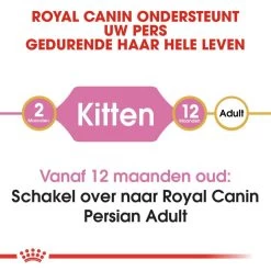 Royal Canin Kattenvoer Persian Kitten 4 Kg -Dierenwinkel royal canin persian kitten kitten kat pers hero image 8