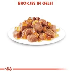 Royal Canin Kattenvoer Sterilised In Jelly 12 X 85 Gr 8 Royal Canin Kattenvoer Sterilised In Jelly 12 X 85 Gr -Dierenwinkel royal canin sterilised in jelly volwassen kat castratie sterilisatie hero kibble